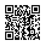 BCS-117-T-S-PE QRCode