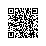 BCS-132-L-S-DE-004 QRCode