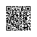 BCS-133-L-D-DE-028 QRCode