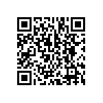 BCS-133-L-D-HE-062 QRCode