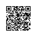 BF016010BE94013BF1 QRCode