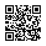 BFC233841333 QRCode