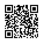 BFC233924333 QRCode