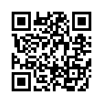 BFC236863273 QRCode