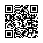 BFC237029333 QRCode