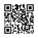 BFC237065333 QRCode