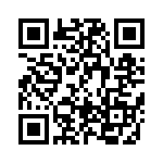 BFC238041333 QRCode