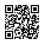 BFC247045393 QRCode