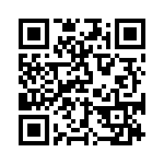 BKS-167-01-L-V QRCode