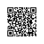 BKT-117-04-L-V-S-A-P QRCode