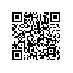 BKT-119-04-L-V-S-A-P-TR QRCode