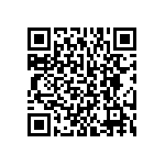 BKT-123-01-L-V-P QRCode