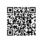 BKT-131-01-L-V-S QRCode