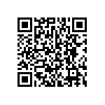 BKT-133-01-L-V-P-TR QRCode