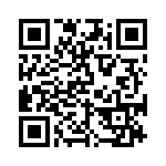 BKT-139-04-L-V QRCode