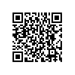 BKT-153-01-F-V-S QRCode