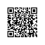 BKT-153-01-L-V-S-P QRCode