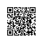 BKT-161-01-L-V-S-P QRCode