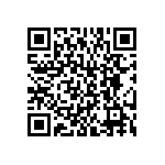 BKT-161-01-L-V-S QRCode