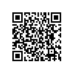 BKT-161-04-L-V-A-P QRCode