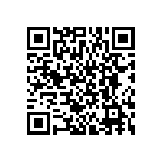 BKT-161-04-L-V-P-TR QRCode