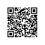 BKT-163-01-L-V-P-TR QRCode