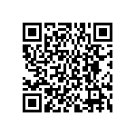 BKT-165-04-F-V-S-A-P QRCode