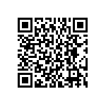 BKT-167-01-L-V-S QRCode