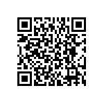 BKT-167-02-L-V-P QRCode