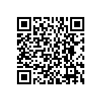 BKT-167-04-L-V-A-P QRCode