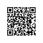 BKT-169-02-L-V-P QRCode