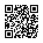 BM22-4S-V-53 QRCode