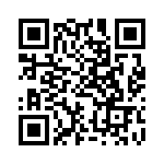 BN154E0225K QRCode