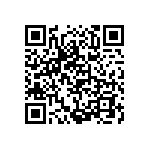 BR247D-600B1-28V QRCode