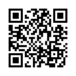 BR34 QRCode