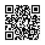 BT-29 QRCode