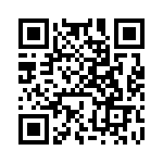 BT131-600-412 QRCode