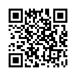 BVB01-Z0000-02 QRCode