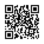 BWD1212 QRCode