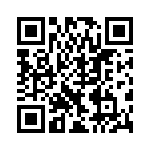 BYD13GGP-E3-73 QRCode