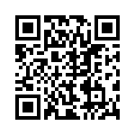 BZH01-Z0000-02 QRCode