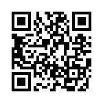 BZT55B20-GS08 QRCode