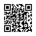 BZT55B2V4-GS08 QRCode