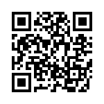 BZT55C20-L1G QRCode