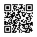 BZT55C33-L0G QRCode