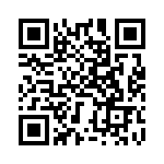 BZT55C8V2-L1G QRCode