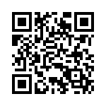 BZV01-Z0000-13 QRCode