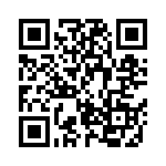 BZV03-Z0000-06 QRCode