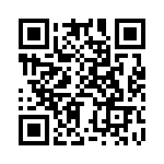 BZV85-C10-133 QRCode