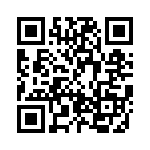 BZW04-13BHR1G QRCode